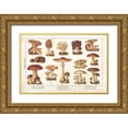thumbnail image 1 of Babbitt, Gwendolyn 14x11 Gold Ornate Wood Framed with Double Matting Museum Art Print Titled - Mushroom Chart II, 1 of 4