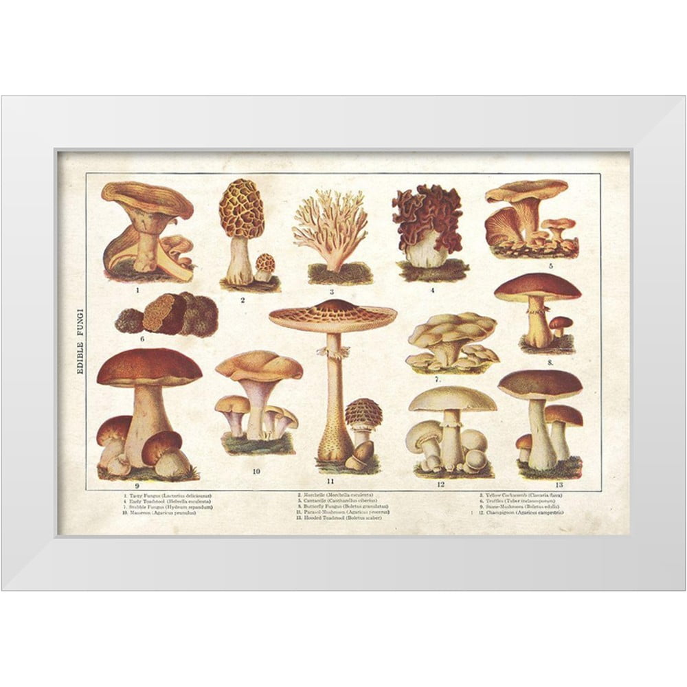 Babbitt, Gwendolyn 14x11 White Modern Wood Framed Museum Art Print