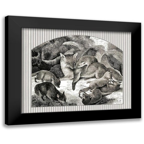Babbitt, Gwendolyn 14x12 Black Modern Framed Museum Art Print Titled - Fox Mom and Cubs