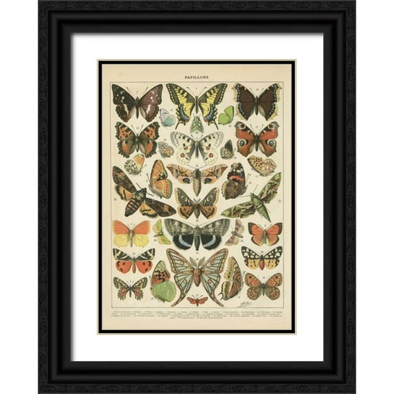 Babbitt, Gwendolyn 14x18 Black Ornate Wood Framed with Double Matting Museum Art Print Titled - Papillons I