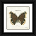 thumbnail image 1 of Babbitt, Gwendolyn 15x15 Black Ornate Wood Framed with Double Matting Museum Art Print Titled - Butterfly II, 1 of 4
