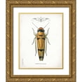 thumbnail image 1 of Babbitt, Gwendolyn 15x18 Gold Ornate Wood Framed with Double Matting Museum Art Print Titled - Beetle II, 1 of 4