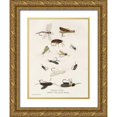 thumbnail image 1 of Babbitt, Gwendolyn 15x18 Gold Ornate Wood Framed with Double Matting Museum Art Print Titled - Fishing Flies I, 1 of 4