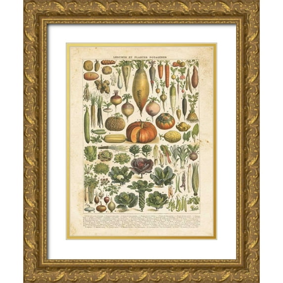 Babbitt, Gwendolyn 15x18 Gold Ornate Wood Framed with Double Matting Museum Art Print Titled - French Vegetable Chart