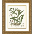 thumbnail image 1 of Babbitt, Gwendolyn 15x18 Gold Ornate Wood Framed with Double Matting Museum Art Print Titled - Ginger Botanical, 1 of 4