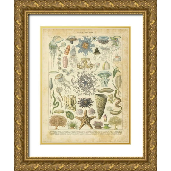 Babbitt, Gwendolyn 15x18 Gold Ornate Wood Framed with Double Matting Museum Art Print Titled - Oceanographie