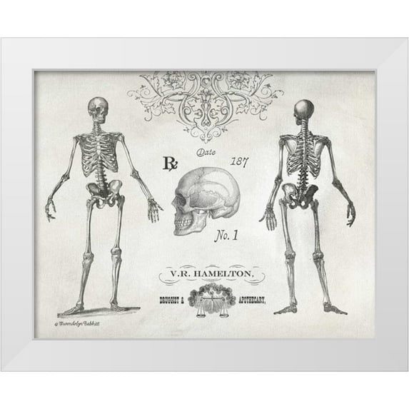 Babbitt, Gwendolyn 18x15 White Modern Wood Framed Museum Art Print Titled - Elegant Skeletons