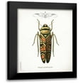 thumbnail image 1 of Babbitt, Gwendolyn 20x24 Black Modern Framed Museum Art Print Titled - Beetle III, 1 of 5