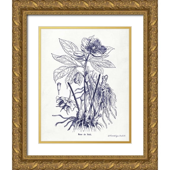 Babbitt, Gwendolyn 20x24 Gold Ornate Wood Framed with Double Matting Museum Art Print Titled - Indigo Botanical II