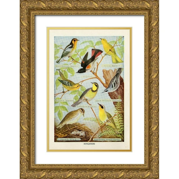 Babbitt, Gwendolyn 23x32 Gold Ornate Wood Framed with Double Matting Museum Art Print Titled - Bird Chart III