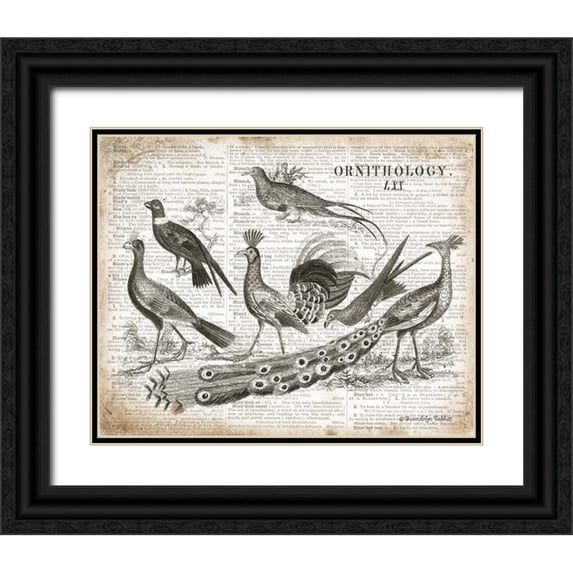 Babbitt, Gwendolyn 24x20 Black Ornate Wood Framed with Double Matting Museum Art Print Titled - Birds II