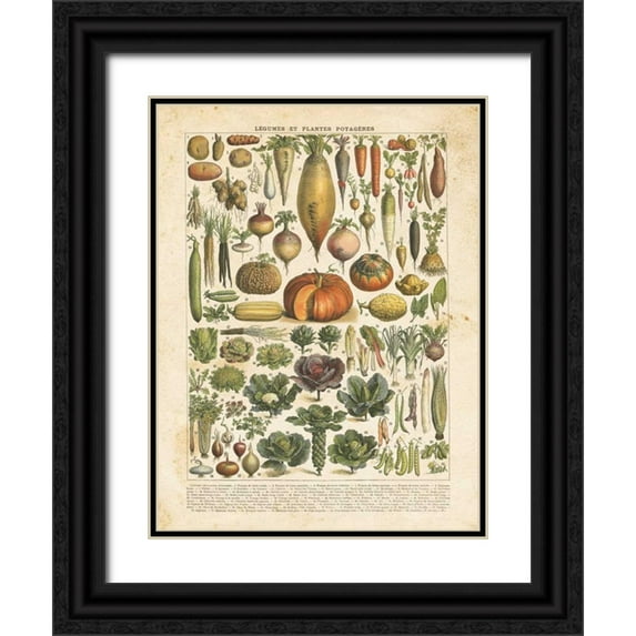 Babbitt, Gwendolyn 25x32 Black Ornate Wood Framed with Double Matting Museum Art Print Titled - French Vegetable Chart