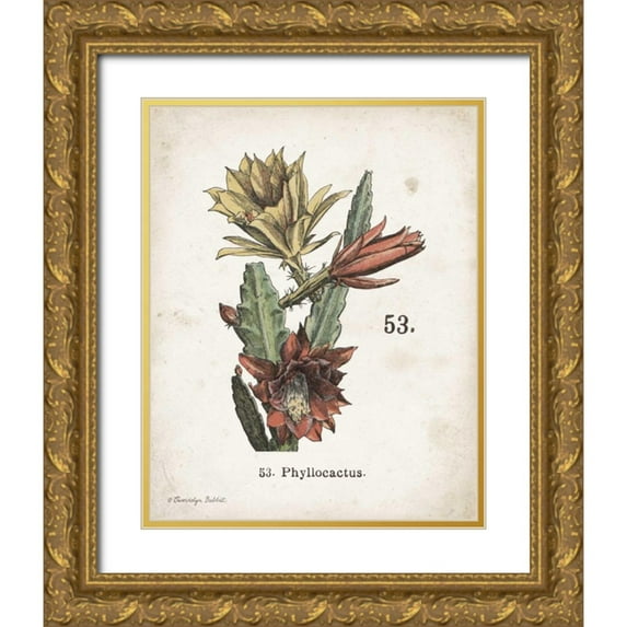 Babbitt, Gwendolyn 26x32 Gold Ornate Wood Framed with Double Matting Museum Art Print Titled - Cacti I