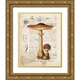 thumbnail image 1 of Babbitt, Gwendolyn 26x32 Gold Ornate Wood Framed with Double Matting Museum Art Print Titled - Mushroom I, 1 of 4