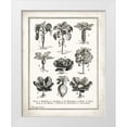 thumbnail image 1 of Babbitt, Gwendolyn 26x32 White Modern Wood Framed Museum Art Print Titled - French Cabbage, 1 of 4
