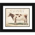 thumbnail image 1 of Babbitt, Gwendolyn 32x25 Black Ornate Wood Framed with Double Matting Museum Art Print Titled - Anatomical Model Cow, 1 of 4