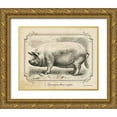 thumbnail image 1 of Babbitt, Gwendolyn 32x26 Gold Ornate Wood Framed with Double Matting Museum Art Print Titled - Farm Pig II, 1 of 4