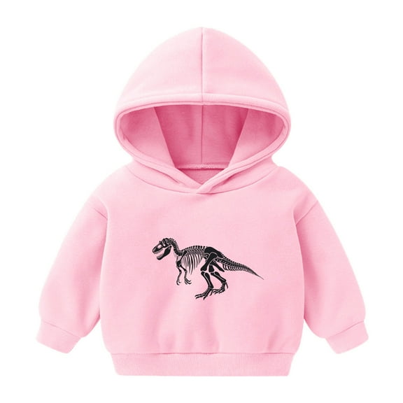 Babcutegg Sweatshirts for Kid Girls Long Sleeve Hoodies Regular Fit Girls Fall and Winter Outfit Pink Size 3
