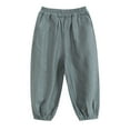 thumbnail image 1 of Babcutegg Toddler Girls Pants Wide Leg Elastic Waist Regular Fit Clothes for Girls Gray, 1 of 5