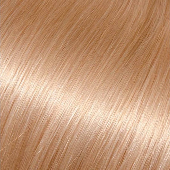 Babe 22" Dixie #600 Tape-In Pro Extensions 10 Wefts Ounce Gram