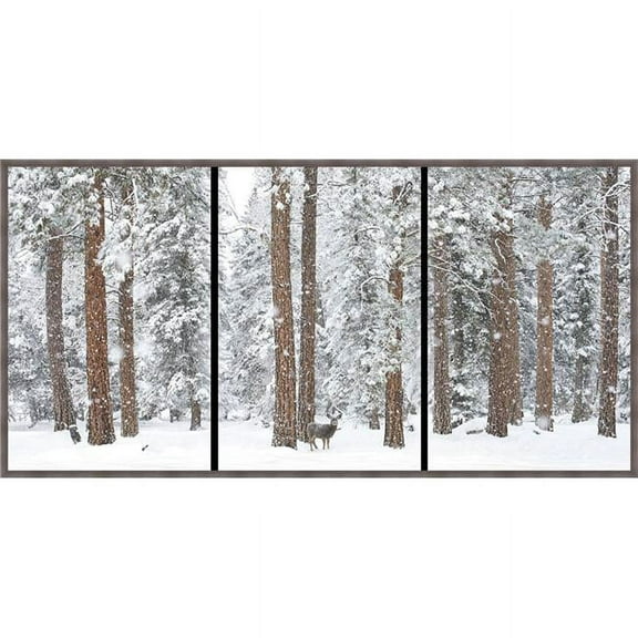 Babe in the Woods-Triptych, Wrapped Giclee Canvas