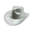 thumbnail image 1 of Baberdicy Cowboy Hat Clearance！Women's Big Brim Cowboy Hat Western Bowler Hat Wide Brim Style Silver, 1 of 3