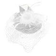 thumbnail image 1 of Baberdicy Hat Women Feathers Clip Cocktail Hair Tea Flower Headband Wedding Mesh Party Accessory Visor Hats for Women White, 1 of 3