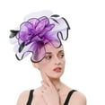 thumbnail image 1 of Baberdicy Women's Dual Fascinator - Clip & Headband Convertible - Wedding/Church Hat - Feather & Mesh Design - Value Pack Purple,One Size, 1 of 8