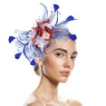 thumbnail image 1 of Baberdicy Women's Small Fascinator - Feather Netting Pillbox - Tea Party Formal Hat - Elegant Hair Accessory - Summer Wedding F,One Size, 1 of 8