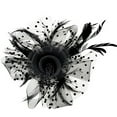 thumbnail image 1 of Baberdicy Women's Tea Party Headband - Pearl & Feather Fascinator - Bridal Wedding Accessory - Elegant Mesh Design - Women Flower Mesh Ribbons Feathers Headband Cocktail Tea Black,One Size, 1 of 3