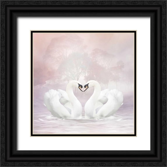 Babette 12x12 Black Ornate Wood Framed with Double Matting Museum Art Print Titled - Love Swans
