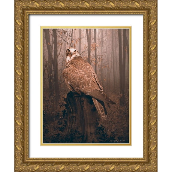 Babette 12x14 Gold Ornate Wood Framed with Double Matting Museum Art Print Titled - Falcon