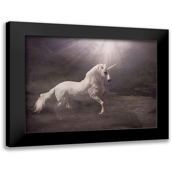 Babette 24x19 Black Modern Framed Museum Art Print Titled - Unicorn