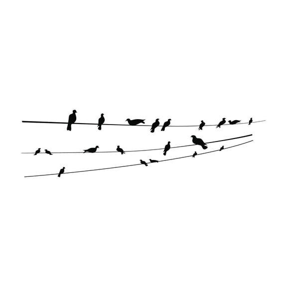 Babies Beautiful Animals Wall Decal Decoration Seamless flock of Birds Sitting on a Wire Decal Lasts Years and Easily Removable - Size: 40 In(W) x 12 In(H)