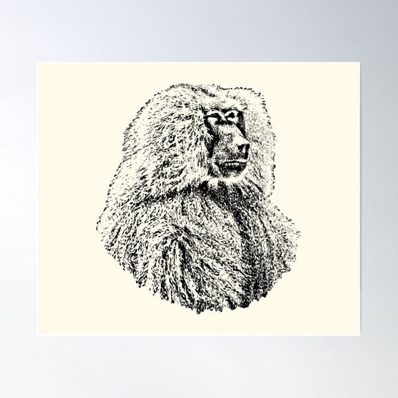 Baboon Poster Wall Art, Modern Wall Decor For Living Room Bedroom, 24x24 UNFRAMED