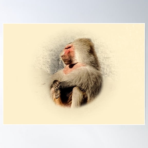 Baboon Poster Wall Art, Modern Wall Decor For Living Room Bedroom, 8x12 UNFRAMED