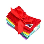 Baby 5 Pack Minky Dot Burp Cloths - Rainbow