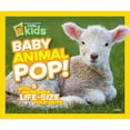 Baby Animal Pop! With 5 Incredible, LifeSize Foldouts (Hardcover