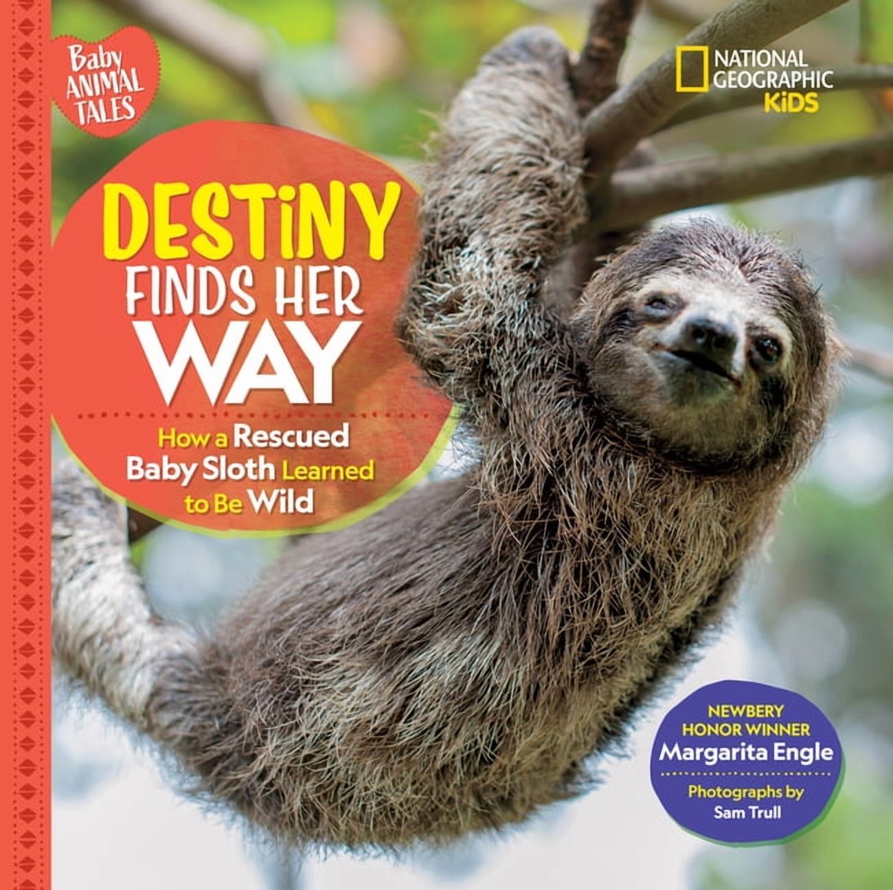 Baby Animal Tales Destiny Finds Her Way: How a Rescued Baby Sloth Learned to Be Wild, (Hardcover)
