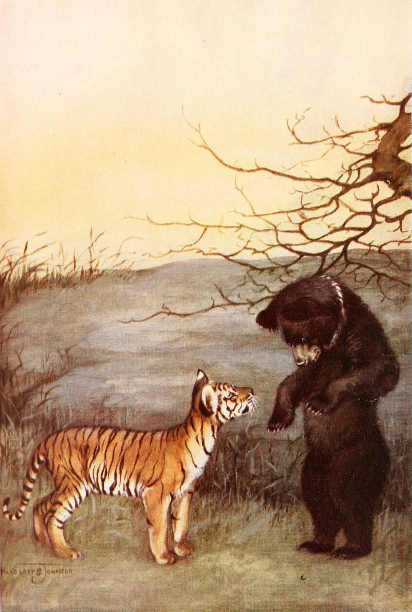 Baby Animals 1917 Bear & tiger Canvas Art - Margaret S Johnson (18 x 24)