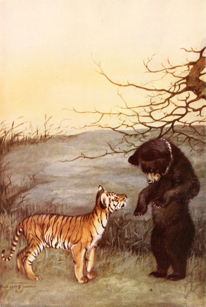 Baby Animals 1917 Bear & tiger Canvas Art - Margaret S Johnson (24 x 36)