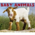 thumbnail image 1 of Baby Animals 2019 Calendar, 1 of 1