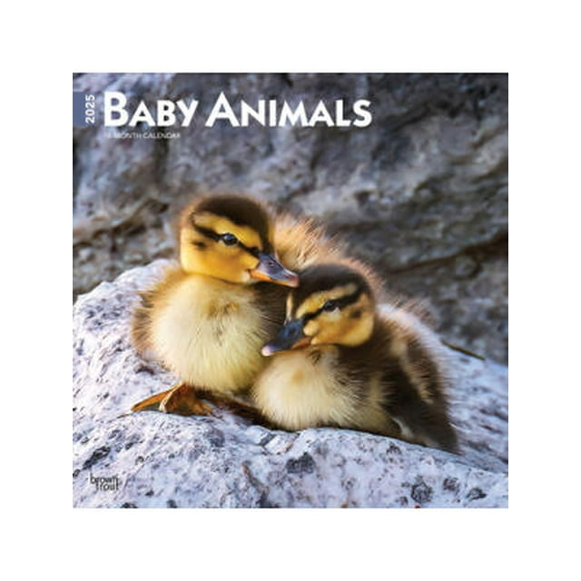 Baby Animals Calendar 2025 