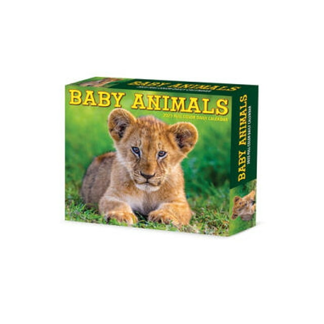 Baby Animals Calendar 2025 