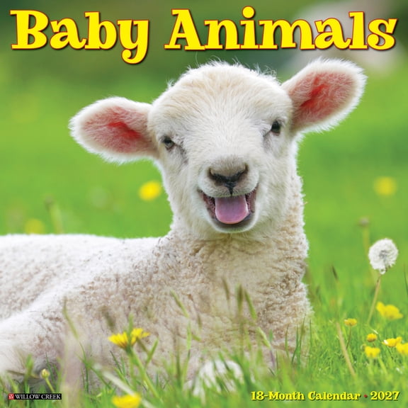 Baby Animals 2027 12 X 12 Wall Calendar, (Paperback)