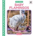 thumbnail image 1 of Baby Animals Baby Flamingos, (Hardcover), 1 of 1