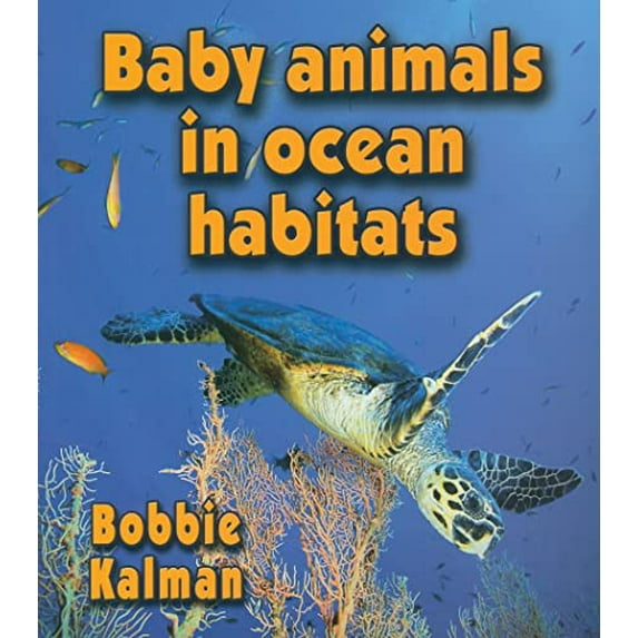 Pre-Owned Baby Animals in Ocean Habitats (Paperback) 0778777421 9780778777427