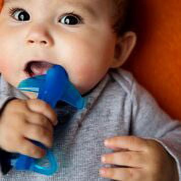 Baby Banana Shark Training Toothbrush, Bendable Food-Grade Silcone, Butter-Solft Brisles for Gums and First Teeth, Family-Owned Business