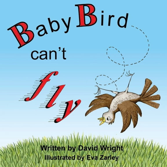 Baby Bird Can't Fly, (Paperback)