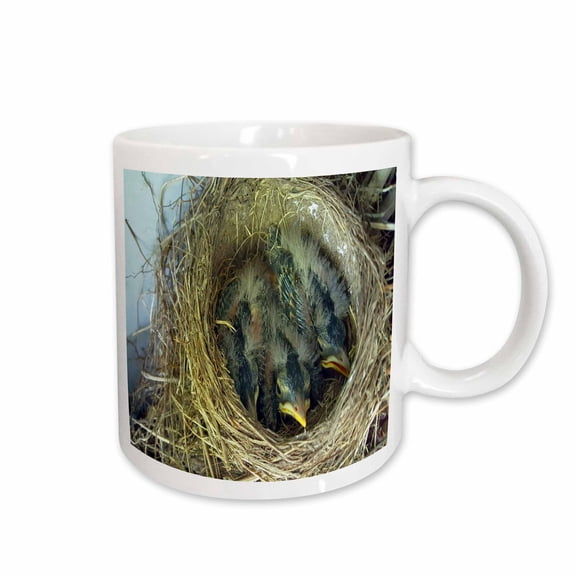 3drose, Baby Birds Robins Nest, 11oz Mug
